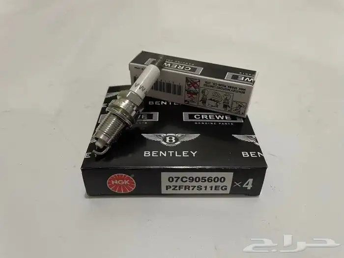 قطع بنتلي 13