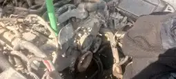 مكينه فورد فكتوريا ماركيز قيرات دفرنسات شد بلد 6