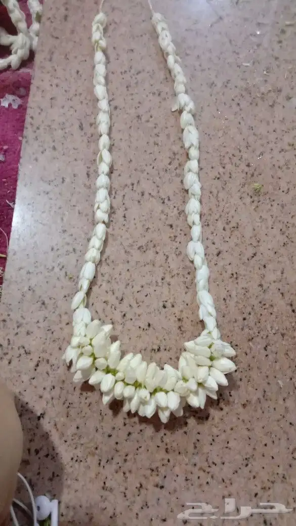 فل ورد الرياض 1