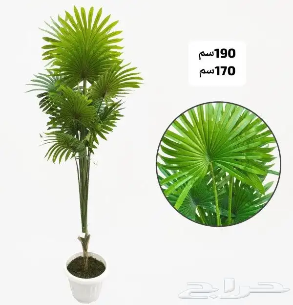 شجر صناعي 24