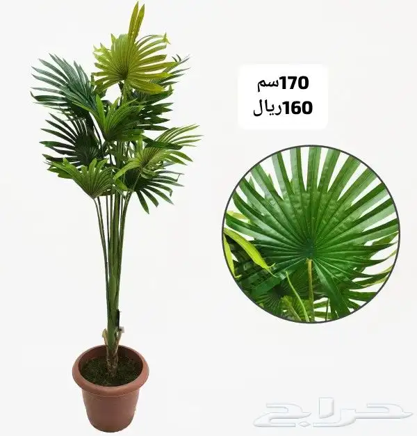 شجر صناعي 25