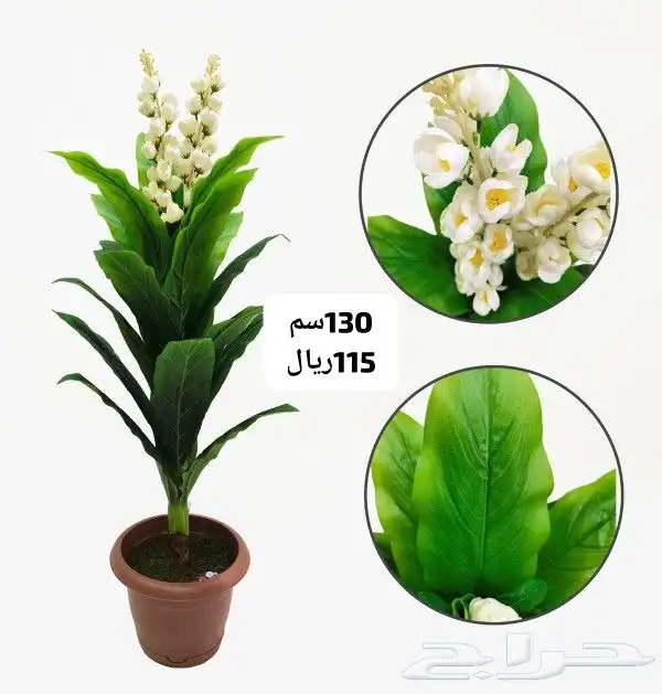 شجر بورد ملون 14