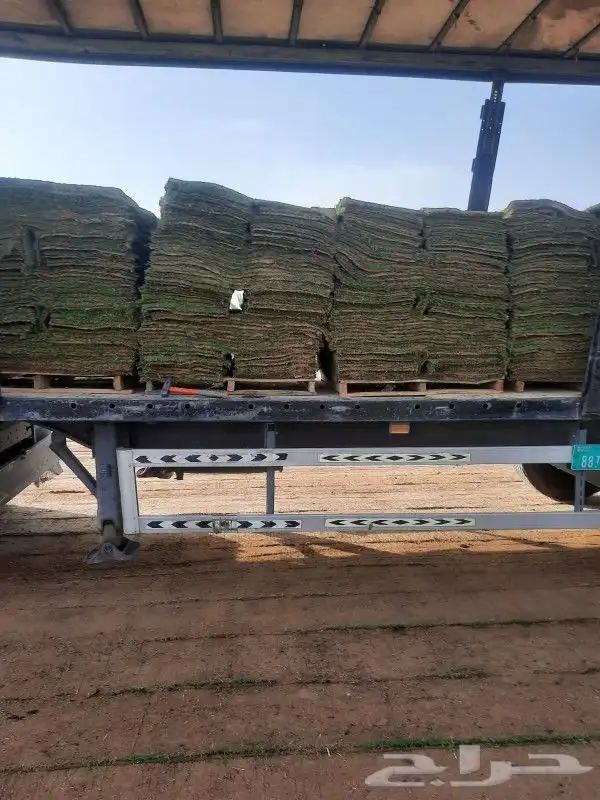 ثيل نجيله طبيعي 100  نقي جدا c2000 فرنسي ياباني 9