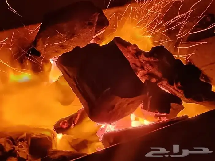 تجهيز خروف مشاوي للمناسبات والأفراح والحفلات الخاصة 5