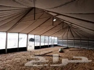 بيوت شعر أبيض جميع المقاسات تجهيز مخيمات 10