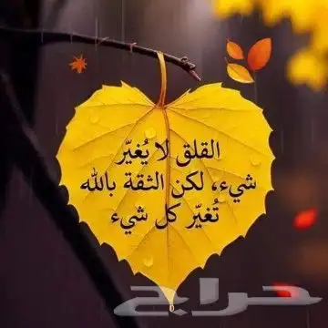 نظافه تكثير بلاط بنيان تليس. مقاول مصري 0
