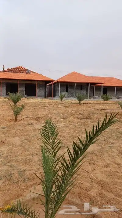 فني قرميد 0
