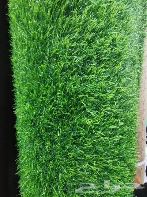 ثايل زراعي عشب أنجيلا زراعي عشب زراعي للحدائق 0