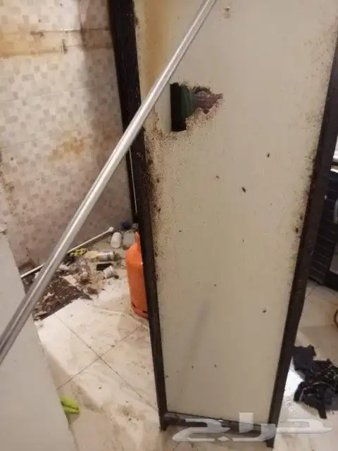 شركة مكافحة الحشرات والنظافة 3