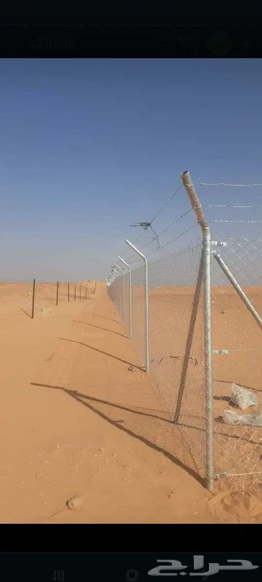 يوجد لدينا جميع انواع النخيل المثمره وازينه 8