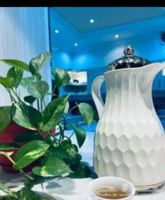 قهوجي داخل المدينه المنوره وخارجها 1