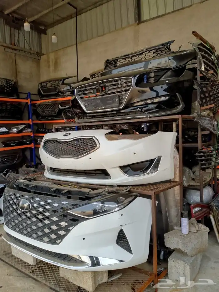 انوار صطبات مرايات صدامات ازيرا كادنزا سونات جنسس اصلي وكاله 7