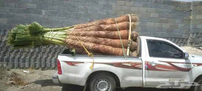 وشنطتي زينه للبيع ابها الخميس 0