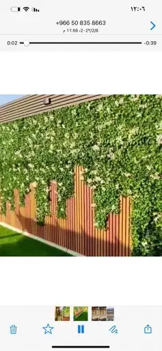 تنسيق حدائق زهرة ياسمين تنسيق وتصميم حدائق مظلات شلالات نواف 7