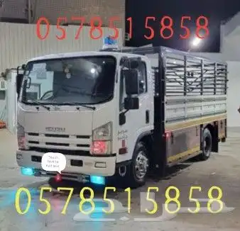 نقل عفش الدمام الخبر الاحساء الرياض 1