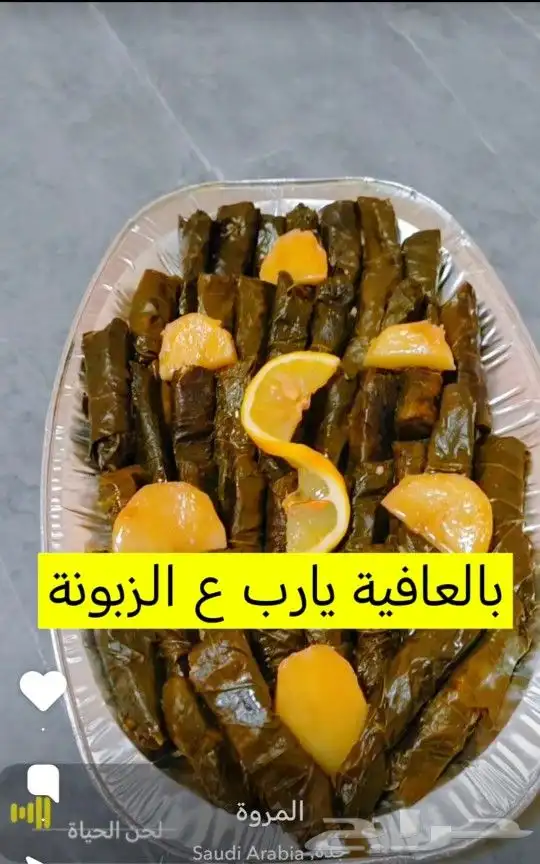 ورق عنب 2