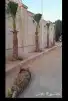 كل ما يخص الحدائق الزراعيه طبيعي وشبكات الري قص نخيل قص واشج 9
