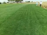 تيل سي 2000 صافو طبيعي درجه اولى 2