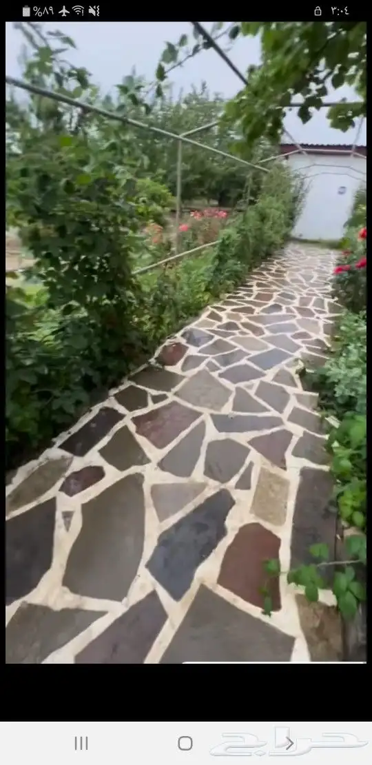 معلم حجر 8