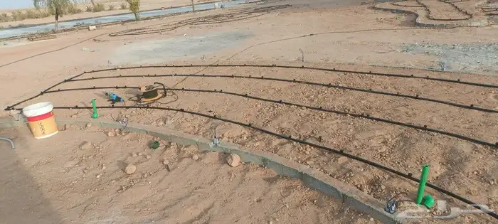 أبو سجي لصيانه وتنسيق الحدائق 2