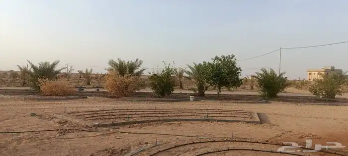 أبو سجي لصيانه وتنسيق الحدائق 0