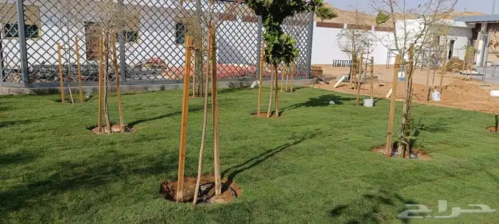 أبو سجي لصيانه وتنسيق الحدائق 7