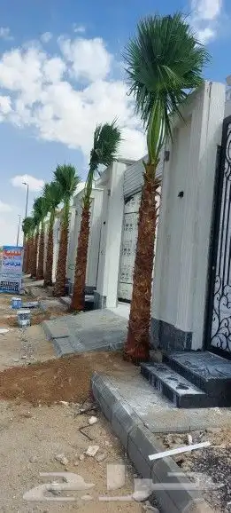 تنسيق حدائق الطائف ومكه ابو هيام 0