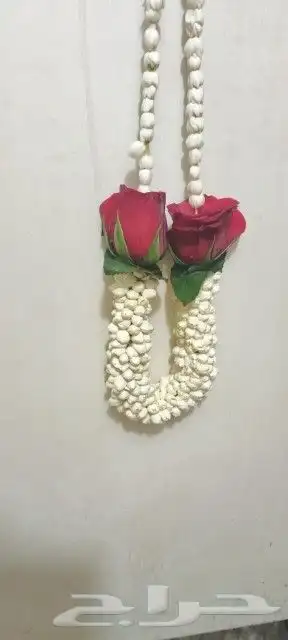 سالم للفل البلدي الجيزاني جده حي الصفا شارع الأربعين 6