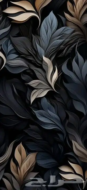 حل اختبار حاسب الي 0