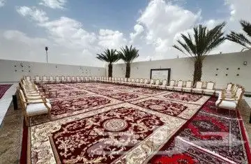 تاجير كنب اي بي كنب مفرد كنب ثلاثي الملكي كراسي ملكي 5