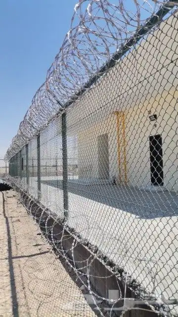 شبوك شبك وسياج ونخيل 0