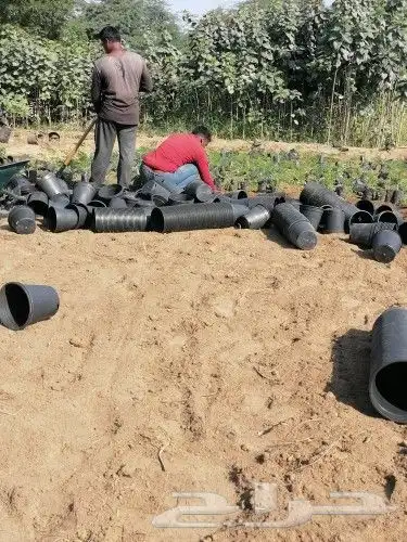 متوفر مراكن مقاس 16 و20 و25 و28 و35 من المصنع مباشر للعميل 8