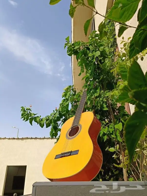 غيتار كلاسيكي C40  غيتار_كلاسيكي 1