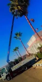 يوجد لدينا ونش للاجار اليومي 0