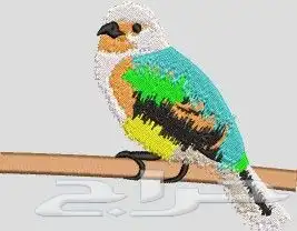 تصاميم تطريز برنامج تطريز مكينة تطريز 0