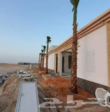 نخل لبيع موصل لموقع المطلوب 5