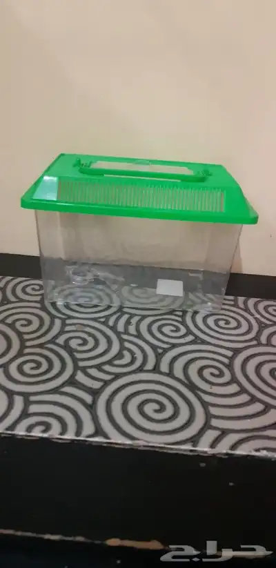 بياضة و حضانة و نشار خشب 4