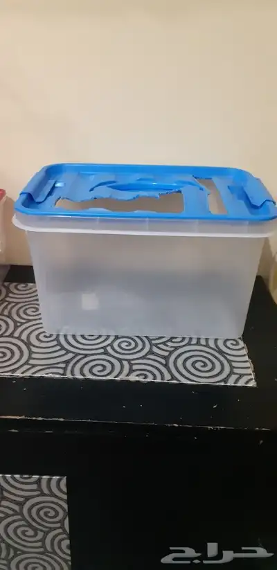 بياضة و حضانة و نشار خشب 6