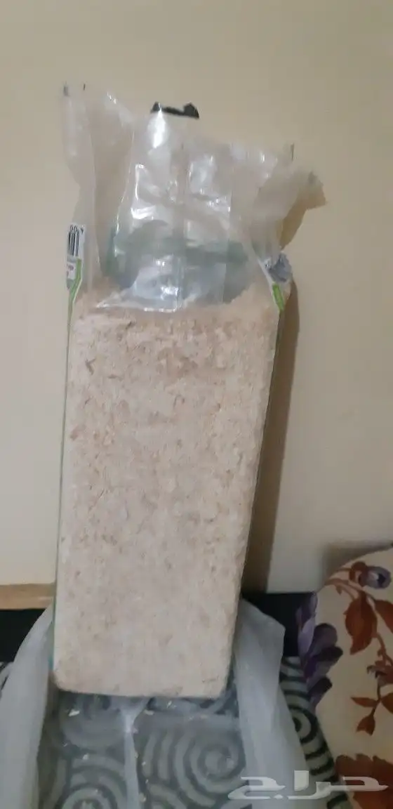 بياضة و حضانة و نشار خشب 8
