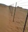 مقاول شبوك ونخيل 16