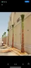 يوجد لدينا جميع انواع انخيل 0