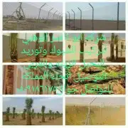 يوجد لدينا جميع انواع انخيل 4