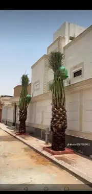 جميع انواع انخيل 9