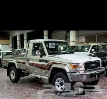 جنوط رفارف شاص وربع 2010 8