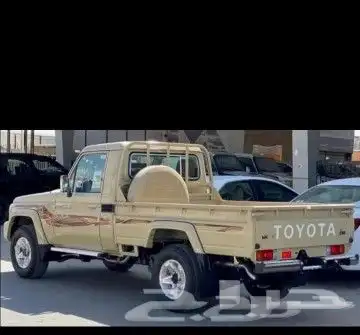 جنوط رفارف شاص وربع 2010 7