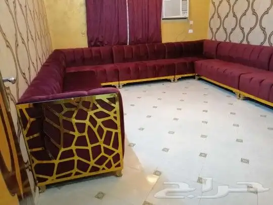 تنجيد وتفصيل كنبات المظيلف القنفذة 0