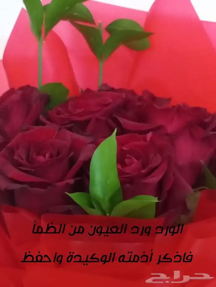 الجازي للتصميم والابداع 0