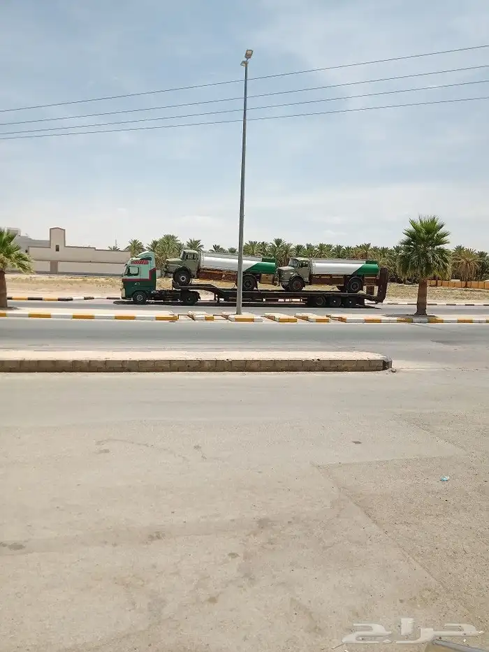 لوبد في المدينة النمور عل أي تجه ثلاثة محور 0