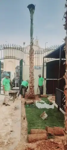 رضا ازبون يزيدك نجاح دقه في الشغل وإنجاز 6