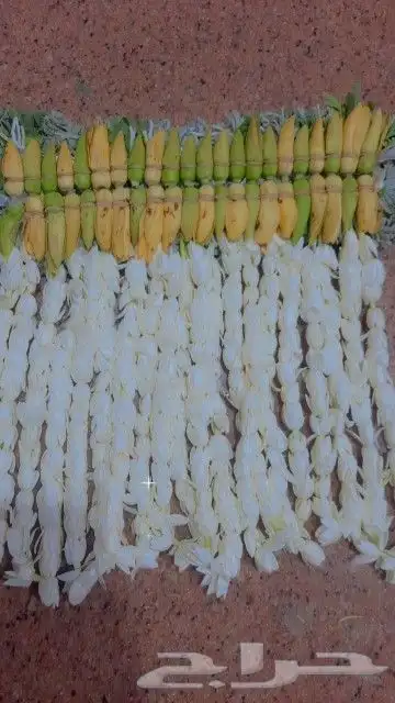 محل للبيع الفل في الرياض متوفر جمله ومفرد 0